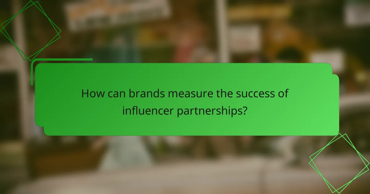 How can brands measure the success of influencer partnerships?
